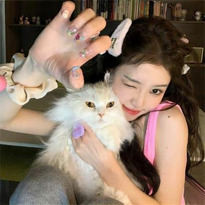 汽车女窃贼